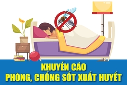 [Infographics] - Khuyến cáo phòng, chống sốt xuất huyết