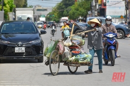 Thời tiết nóng hầm hập, người lao động vất vả mưu sinh