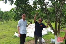 Kết quả sau 10 năm thực hiện Nghị quyết 04 của Ban Chấp hành Đảng bộ tỉnh khóa XVII về công tác cán bộ ở Lang Chánh