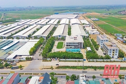 Thành lập cụm công nghiệp Hậu Hiền với tổng diện tích 17,55 ha