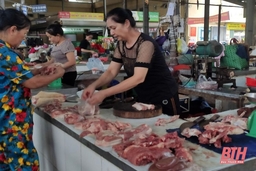 Giá lợn hơi tại Thanh Hóa tăng mạnh từng ngày