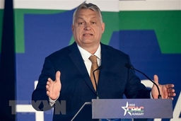 Thủ tướng Hungary khuyến nghị EU đàm phán hòa bình với Nga