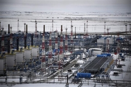 Lượng khí đốt hướng Đông qua đường ống Yamal- Europe tăng cao