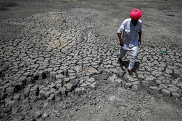 Ấn Độ: Nắng nóng khiến nhiệt độ mùa mưa gia tăng trong thế kỷ này