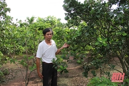 Đảng bộ xã Nga Liên phát huy vai trò tiên phong, gương mẫu của cán bộ, đảng viên