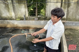 Bấp bênh nghề nuôi con đặc sản