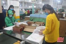 Công nhân, lao động Công ty TNHH Giày Sunjade Việt Nam xây dựng môi trường làm việc an toàn, hiệu quả
