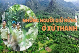 Những người giữ rừng ở xứ Thanh