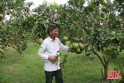 Người cao tuổi huyện Đông Sơn nêu cao vai trò “Tuổi cao - gương sáng”