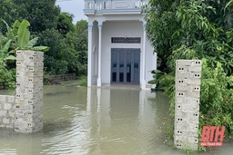 Nông Cống còn 84 hộ dân bị ngập do mưa lũ