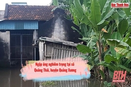 Ngập úng nghiêm trọng tại xã Quảng Thái, huyện Quảng Xương