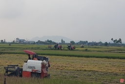 Chạm vào tháng 10…