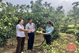 Học Bác từ những điều giản dị