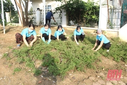 Hội LHPN phường Phú Sơn: Nhiều mô hình hay, việc làm thiết thực