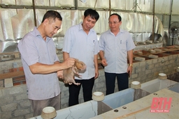 Thường Xuân sau hơn 2 năm thực hiện nghị quyết đại hội đảng các cấp