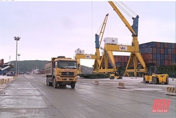 Đẩy mạnh hoạt động xuất nhập khẩu qua Cảng biển Nghi Sơn