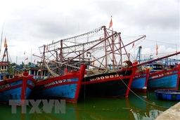 Các tỉnh từ Quảng Ninh đến Bình Thuận chủ động ứng phó với bão