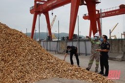 Cục Hải quan Thanh Hóa thu ngân sách nhà nước đạt trên 16 nghìn tỷ đồng
