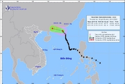 Bão số 7 suy yếu thành áp thấp nhiệt đới sau khi đi vào Trung Quốc