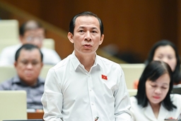 ĐBQH Võ Mạnh Sơn, Chủ tịch Liên đoàn Lao động tỉnh Thanh Hóa góp ý vào dự án Luật Giao dịch điện tử (sửa đổi)