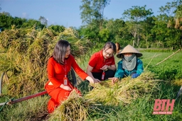 Agribank Nam Thanh Hóa nâng cao chất lượng nguồn nhân lực