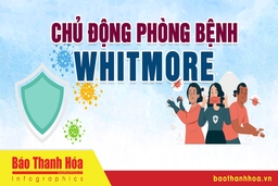 Cách phòng ngừa bệnh Whitmore