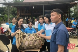 Hỗ trợ giống vật nuôi cho phụ nữ nghèo xã Yên Khương