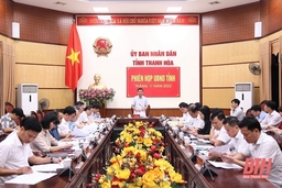 UBND tỉnh họp chuyên đề tháng 11-2022:  Thảo luận, cho ý kiến về một số quy định, cơ chế hỗ trợ thúc đẩy phát triển kinh tế - xã hội