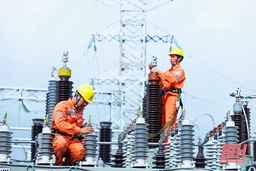 Trên công trường dự án đường dây và trạm biến áp 110kV Nga Sơn, đường dây 110kV Bỉm Sơn - Nga Sơn