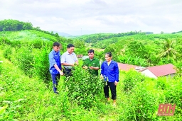 Chuyện những người “ăn cơm nhà vác tù và hàng tổng”