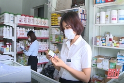 Kế hoạch lựa chọn nhà thầu mua thuốc và vị thuốc cổ truyền trong các cơ sở y tế công lập