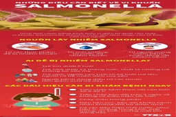 [Infographics] Những điều cần biết về vi khuẩn Salmonella