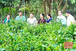 Ban Dân tộc HĐND tỉnh chú trọng giám sát các chính sách dân tộc miền núi