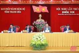 Hội nghị lần thứ 20, Ban Chấp hành Đảng bộ tỉnh khóa XIX: Đánh giá tình hình thực hiện nhiệm vụ năm 2022, thảo luận phương hướng, nhiệm vụ năm 2023