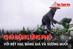 Bản tin 18h ngày 15-12:  Chủ động ứng phó với rét hại, băng giá và sương muối