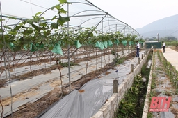 Nông nghiệp thông minh - những tín hiệu vui từ cơ sở