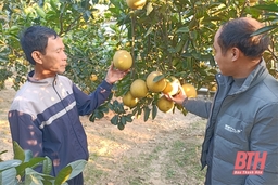 Học và làm theo Bác gắn với xây dựng nông thôn mới kiểu mẫu ở Tây Hồ