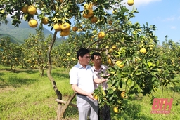 Thường Xuân tự tin vào xuân