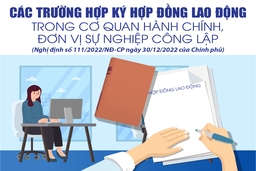 [Infographics] - Các trường hợp ký hợp đồng lao động trong cơ quan hành chính, đơn vị sự nghiệp công lập