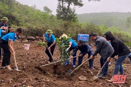 Hội LHPN huyện Hà Trung phát động Tết trồng cây tại Đàn thờ Nguyệt Nga Công chúa