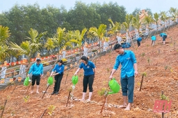 Tuổi trẻ Như Xuân phát động Chương trình “Mỗi đoàn viên thanh niên trồng một cây xanh”