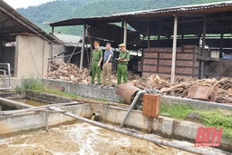 Nâng cao hiệu quả đấu tranh phòng, chống tội phạm và vi phạm pháp luật về môi trường