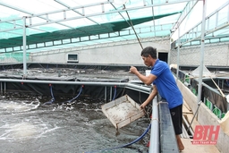 Thị xã Nghi Sơn tập trung thực hiện nhiệm vụ, giải pháp phát triển kinh tế