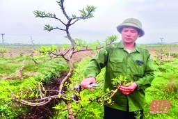 “Điểm tựa” của đồng bào dân tộc xã Xuân Du