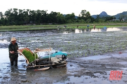 Quy định cụ thể đối với người sử dụng đất trong vùng quy hoạch