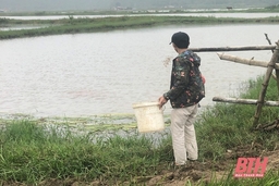 Vấp ngã và hoàn lương