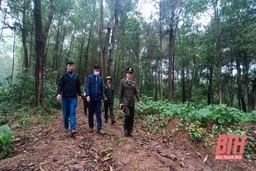 Ban Quản lý rừng phòng hộ Như Thanh nâng cao hiệu quả quản lý, bảo vệ và phát triển rừng bền vững