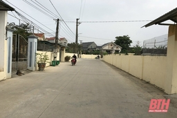 Cán bộ, hội viên người cao tuổi chung sức xây dựng nông thôn mới