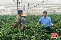 Xây dựng NTM nâng cao ở xã Định Bình