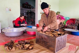 “Nhìn lại 2 năm thực hiện Chương trình Xây dựng Nông thôn mới” - Bài 3: Nhân lên những mô hình sản xuất theo chuỗi trong xây dựng nông thôn mới